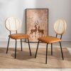 Farini Set of 2 Dining Chair Jaxsen Faux Leather Indoor Kitchen Chair with Rattan Backrest Modern Accent Chairs for Living Room Dining Room,Whisk