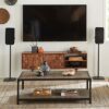 SANUS Wireless Speaker Stand for Sonos Five and Sonos Play:5 - Audio Enhancing Design for Vertical & Horizontal Audio with Built-in Cable Managem