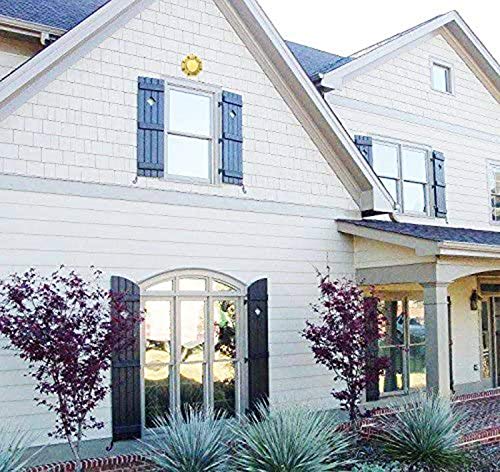 FUNSXBUG Chinese Feng Shui Brass Concave Bagua Mirror Fengshui ba gua Mirrors (3.3 Inch)