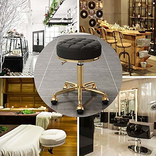AANAN Stools,Beauty Stool Rolling Stool, Comfortable Swivel Stool on Wheels, Heavy Duty Hydraulic Metal Stool with Rod for Salon, Massage, Clinic