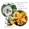 2 x Artificial Yellow and White Faux Silk Pansies and Grasses Rattan Cone Shaped Hanging Baskets Ideal for Home, Business, Outdoor Living 64cm/25
