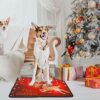 Christmas Doormat Christmas Decorations Entrance Door Mat Cute Reindeer Non Slip Indoor Outdoor Front Door Bathroom Entrance Mats for Xmas Home O