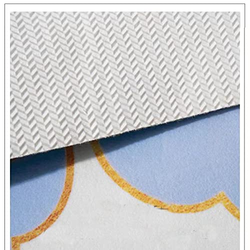 SEAHOME Door Mat -large Foot Pad 80 X 50 Cm - PVC Non Slip Door Mats - Indoor Door Mat -Washable Barrier Mat Scrubable Outdoor Sheltered Use Welc