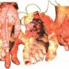 8Pcs Scary Halloween Body Parts Decoration Garland Door Room Bloody Party Banner Limbs - Arms and Feet Hanging with Blood