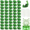 Woohome 60 Pcs Woohome 60 Pcs PlanWoohome 60 Pcs Plant Climbing Wall Fixture Clips Plant Fixer Invisible Wall Vines Fixing Clips Self-Adhesive Ho