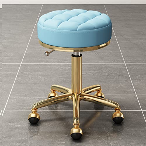 AANAN Stools,Beauty Stool Rolling Stool, Comfortable Swivel Stool on Wheels, Heavy Duty Hydraulic Metal Stool with Rod for Salon, Massage, Clinic
