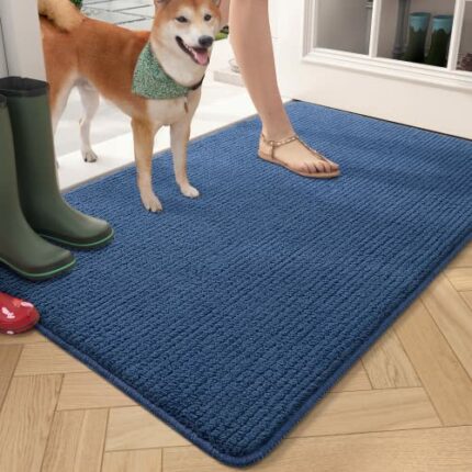 Color G 2 Pack Door Mat for Indoor Outdoor - 60 x 90 cm Dirt Trapper Entrance Doormats, Non-slip, Absorbent, Machine Washable Front Door Mat Carp