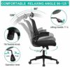 RYANGEL Office Chair, Ergonomic Office Desk Chair with Adjustable Headrest & Lumbar Support, Comfortable Executive Swivel Mesh Chair High Back Co