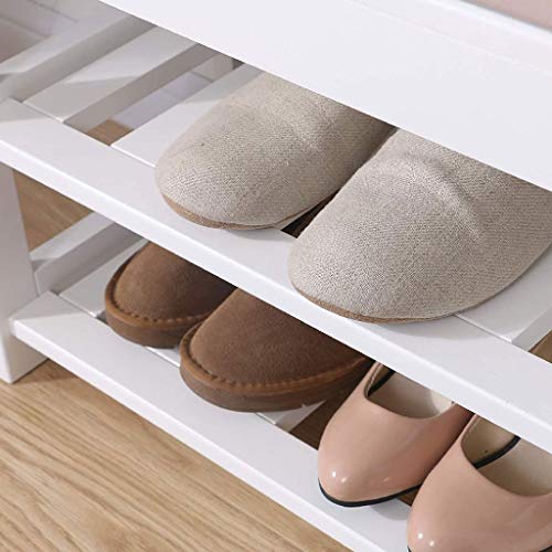 DINGZZ 2 Tier Shoes Bench Storage Shoe Rack Storage Stool Organizer Holder Seating Bench, Ideal for Entryway Hallway Bathroom Living Room Corrido