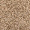William Armes 3841700 Dandy , Soft Cotton Washamat Door Mat Small, Beige, 60 x 40
