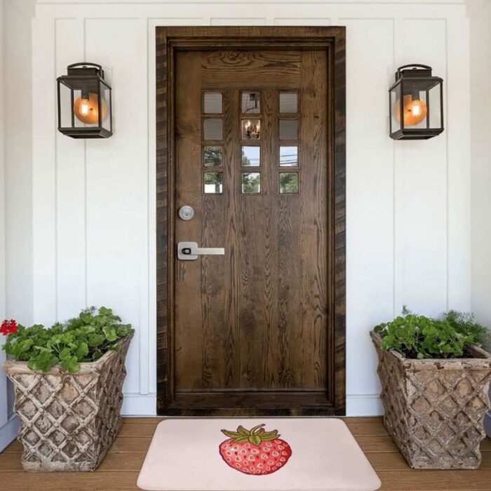 N/A Strawberry Fields Polyester Doormat Rug Carpet Mat Footpad Non-slip Sand Scraping Entrance Kitchen Bedroom Balcony (Color : D, Size : 40x60cm