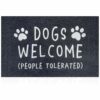 AAZZKANG Doormat Outdoor Entrance with Non Slip Rubber Backing Welcome Please Remove Your Shoes Mat Easy to Clean Indoor Door Mat for Entrance