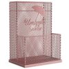 AANAN Umbrella Stands,Hollow-Out Umbrella Stand for Apartment/Hall Entryway/Front Door, Freestanding Metal Umbrellas Rack Support, Walking Sticks