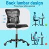 PALONE Adjustable Office Chair Ergonomic Desk Chair 360° Swivel Computer Gaming Armless Chair Mesh Task No Arms Chair with S-Back Support Comfy C