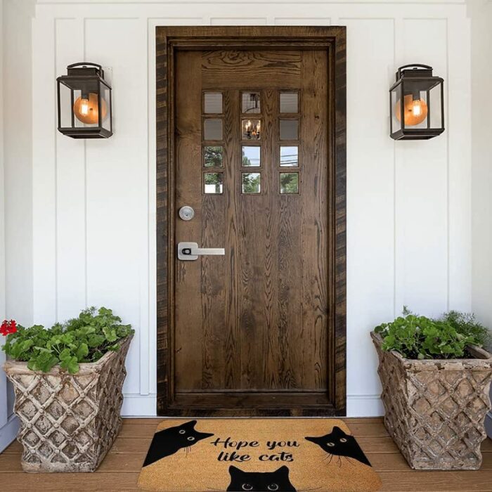 Come On in There's So Mushroom Doormat | Funny Doormat | | Outside Doormat | | Welcome Doormat 16x24 Inch