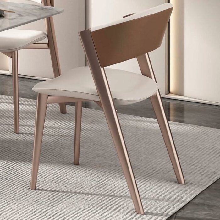WALNUT Room Dinning Chair Metal Comfortable Back Support Dinning Chair Kitchen Living Room Decoration