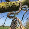 Tree Swing Conversion Ropes Complete Kit with Galvanised Steel Fixings Choice of 2 Lengths (5.5m Single Rope)