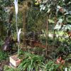 CrestGlass Garden Reflective Mirror Sheet (15 Sizes To Choose From) Perspex Plastic Safety Mirror (600mm x 300mm / 24" x 12")