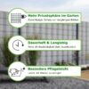 workingHOUSE Polyrattan Privacy Screen Strips for Double Bar Mesh Weatherproof Strips for Fence, Balcony and Terrace - Maintenance-Free and Easy