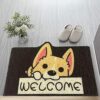Welcome Mat, Durable Indoor Door Mat, Stylish Cartoon Design, Non-Slip, Soft and Elastic, Door Mats are Suitable for Outdoor Doors, Entrances, In