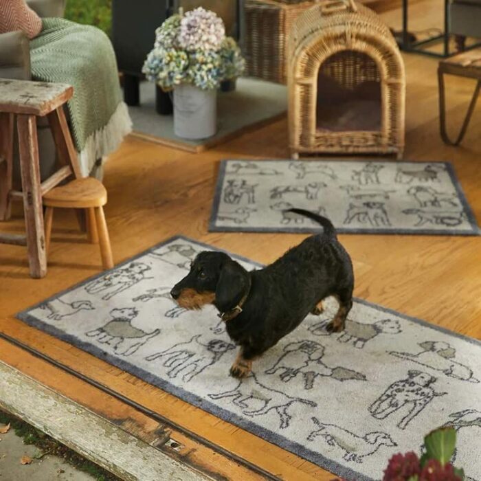 HUG RUG Pet 70 Design Highly Absorbent Indoor Door Mat Machine Washable Doormat Runner (65x150 cm)