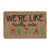 15.74"*23.12"Merry Christmas Door Mat Christmas Decorations Indoor Welcome Carpet Floor Door Mat Seasonal Winter Christmas Rug Christmas Mat Outd