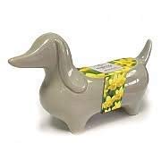 Taylors Bulbs Novelty Sausage Dog Planter containing Tete a Tete Narcissus