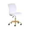 DLOETT Conference Chairs Leather Office Chair, Multiple Finishes VELVET PLUSH