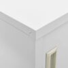 vidaXL 2x Locker Cabinets Home Office School Modern Locker-Style Storage Side Document Cabinet Organiser Cupboard Light Grey Steel