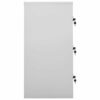 vidaXL 2x Locker Cabinets Home Office School Modern Locker-Style Storage Side Document Cabinet Organiser Cupboard Light Grey Steel