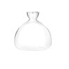 Acorn Sprouting Seed Starter Planter Vase Terrariums Pot Acorn Tree Growing Kit Deco Glass Bulb Propagation Vases Grow Acorn Trees at Home Acorn