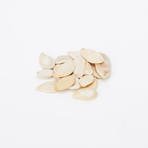 Johnsons UK/JO/VC Pumpkin and Winter Squash Collection