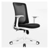 SLNFXC Home Computer Chair Ergonomic Office Chair Lift Swivel Chairs Mesh Staff Chair Chaise