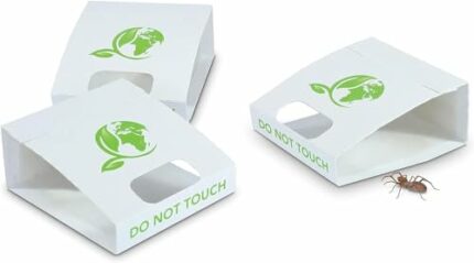Spider Trap 30 Pack | Spiders And Crawling Insect Killer Traps