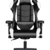 HJW Ergonomic Gaming Chair Computer Chair Home Reclining Office Chair Backrest Game Seat Swivel Chair Armchair,Free Size