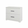 Panana 2-Drawer Wood Lateral File Cabinet, Filing Cabinets Anti-Tilt Mechanism for Home Office Storage Organization, Accommodates Letter/A4/Legal
