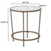 Flash Furniture Glass End Table, Clear/Brushed Gold, Set of 1