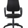 Office Hippo High Back Swivel Desk Chair, Ergonomic Home & Office Chair With Height Adjustable Seat & Backrest, Fixed Arms For Extra Comfort, Com