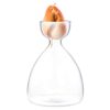 Avocado Sprout Plant Vase Avocado Tree Growing Vase Glass Garden Seed Starter Planting Vase Container Avocado Tree Growing Kit for Kids Adult Fri