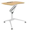 SMLJLQ Multifunctional Office Home Computer Mobile Lifting Table Mobile Lecture Table Computer Desk Drafting Table (Color : B)