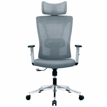 U2PICK Office Chair Ergonomic High Back Mesh Desk Chair Executive Computer Chair Adjustable Headrest, PU Armrest, Backrest and Lumbar Support, 3D