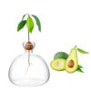 Avocado Tree Growing Kit Avocado Seed Starter Avocado Garden Vase Glass Pot Indoor Gardening Gift for Plant Lover Women Friends