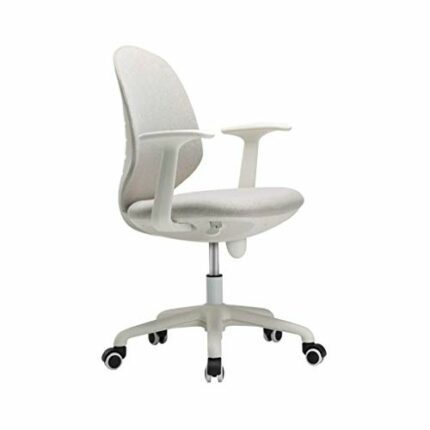 n/a Office Chair Desk Chair with Seat Slide, Height Adjustable Arms, Features Include Pump Up Lumbar Support