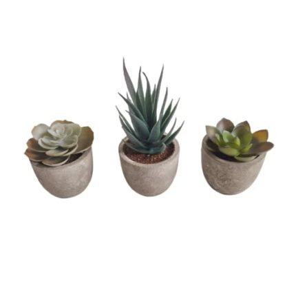 Zen&Tao Artificial Succulent Plants in Pots Eco-Friendly Planters Small Sizes Different Variety for Home and Office Decors (Option B)