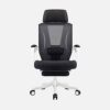 n/a Reclining Office Chair Ergonomic Computer Mesh Lounger Executive Swivel Office Desk Work Chair with Hidden Footstool and Lumbar Support