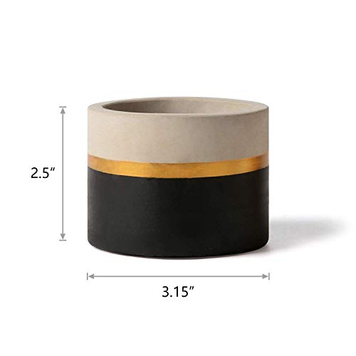 Mkouo 8cm Cement Plant Pots Indoor Succulent Planter Modern Concrete Cactus Flower Pot Small Clay Indoor Herb Window Box Container for Home and O