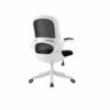 WALNUT Reclining Office Desk Chair | Adjustable High Back Ergonomic Computer Mesh Recliner | White Home Office Chairs with Footrest (Color : A)