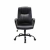 CZDYUF Executive Office Chair Wide Seat Swivel Rolling Chair Ergonomic Desk Computer Chair High Back & Lumbar Support Arms for Home Office Black