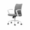 DINGZZ Office Chair, Mid Back Breathable Mesh Office Desk Computer Desk Chair with Lumbar Support