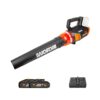 WORX 40V Cordless Leaf Blower WG584E, PowerShare, Brushless Mortor, Variable Speed Control, AIR Turbine, 2pcs Batteries Included